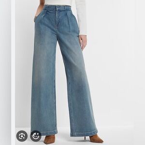 Express wide leg jeans